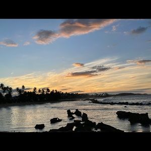 Meet your Posher, Dee